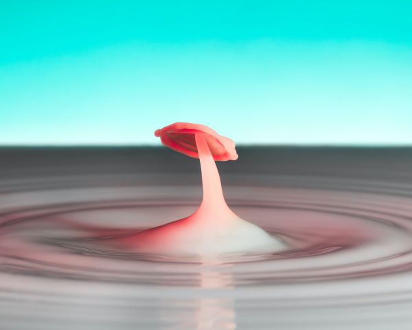 drop, ripple Wallpaper 1280x1024