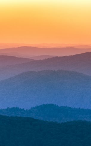 mountains, forest Wallpaper 1752x2800