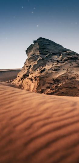 desert, scale Wallpaper 1080x2220