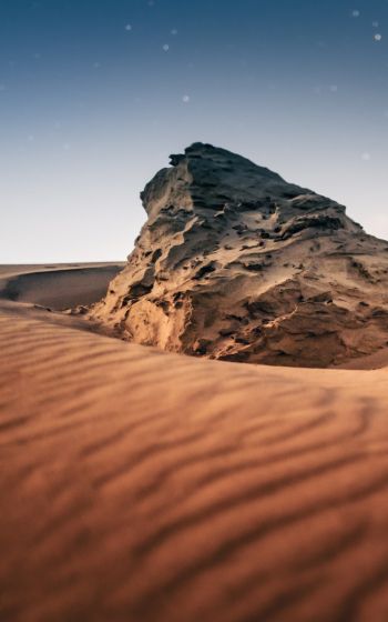 desert, scale Wallpaper 1600x2560