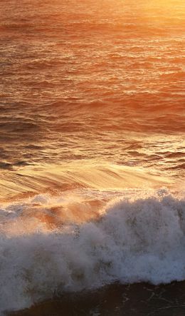 wave, sea, ocean Wallpaper 600x1024