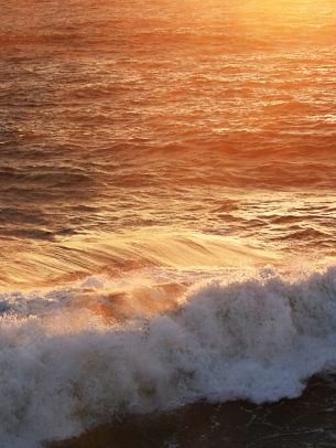 wave, sea, ocean Wallpaper 1668x2224