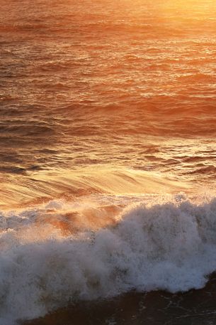 wave, sea, ocean Wallpaper 640x960