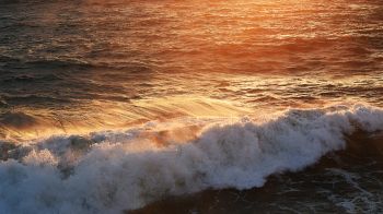 wave, sea, ocean Wallpaper 2560x1440