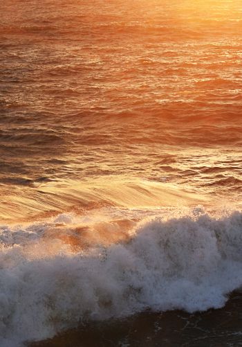 wave, sea, ocean Wallpaper 1668x2388