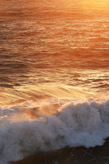 wave, sea, ocean Wallpaper 640x960
