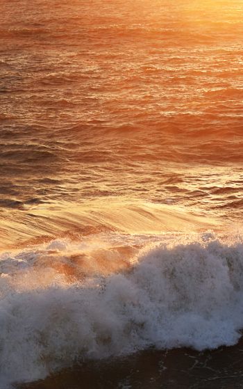 wave, sea, ocean Wallpaper 1752x2800