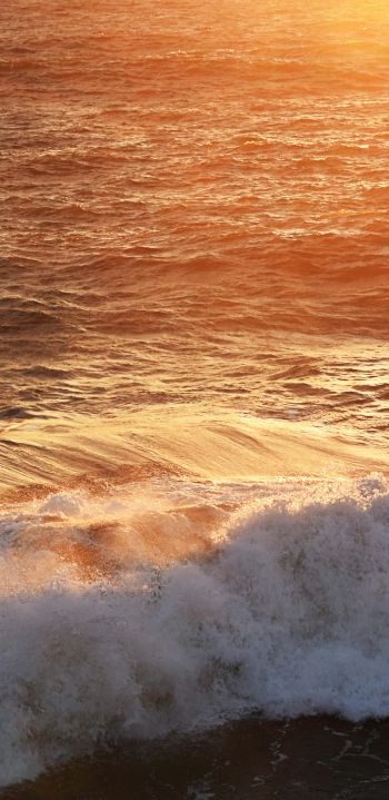 wave, sea, ocean Wallpaper 1440x2960