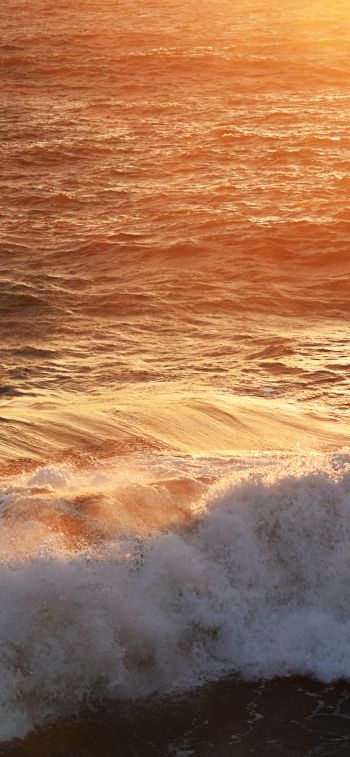 wave, sea, ocean Wallpaper 1125x2436