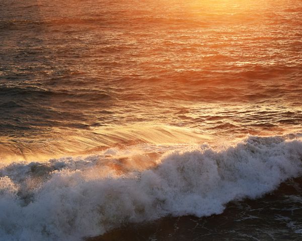 wave, sea, ocean Wallpaper 1280x1024