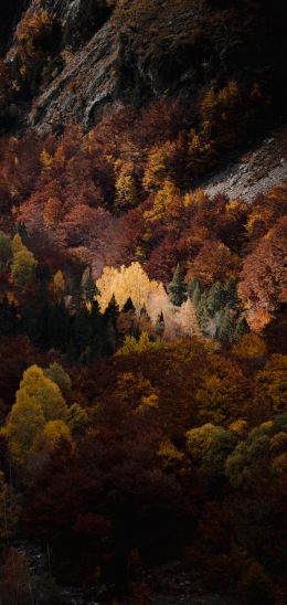 Обои 720x1520 осень, лес, горы
