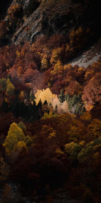 Обои 720x1440 осень, лес, горы