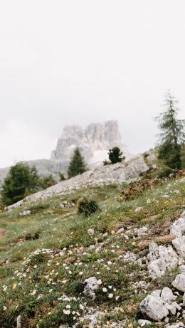 highlands, slope Wallpaper 640x1136