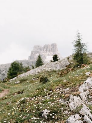 highlands, slope Wallpaper 1668x2224