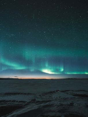 aurora borealis, night Wallpaper 1668x2224