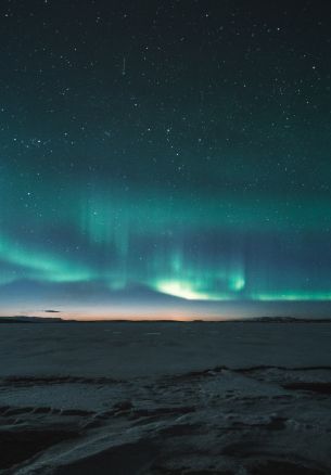 aurora borealis, night Wallpaper 1640x2360