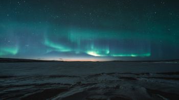 aurora borealis, night Wallpaper 2560x1440