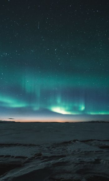 aurora borealis, night Wallpaper 1200x2000