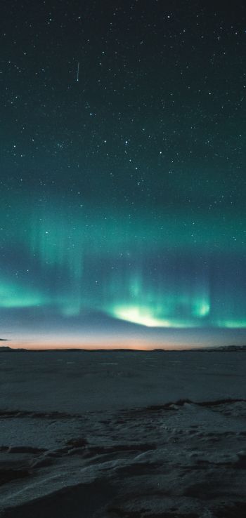 aurora borealis, night Wallpaper 1080x2280