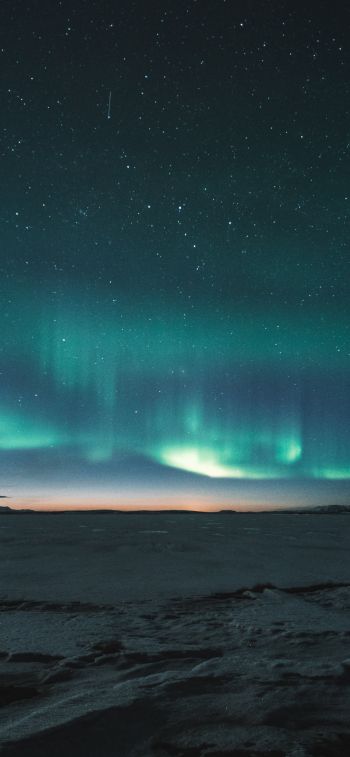 aurora borealis, night Wallpaper 1125x2436