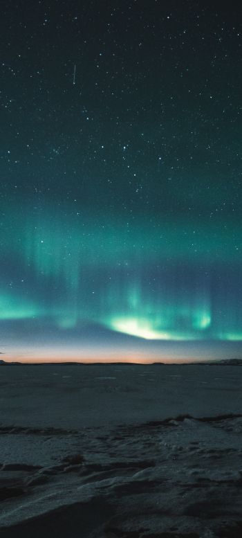 aurora borealis, night Wallpaper 1440x3200