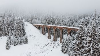 Обои 1600x900 мост, зима, снег