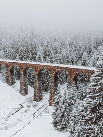 Обои 1536x2048 мост, зима, снег