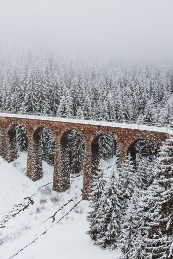 Обои 640x960 мост, зима, снег