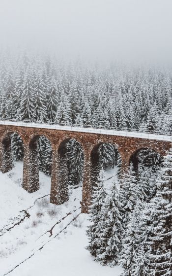 Обои 800x1280 мост, зима, снег