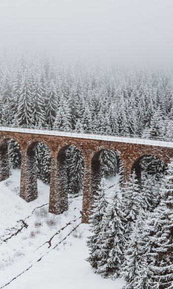 bridge, winter, snow Wallpaper 1200x2000