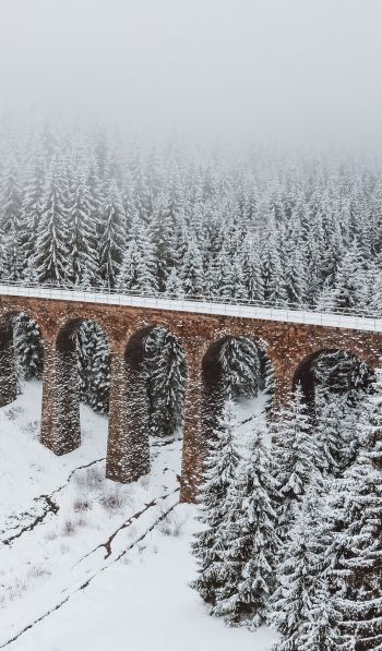 Обои 600x1024 мост, зима, снег