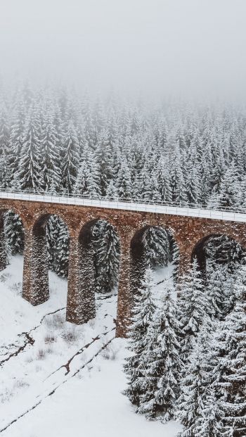 Обои 640x1136 мост, зима, снег