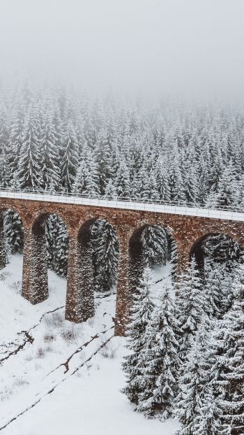 Обои 750x1334 мост, зима, снег