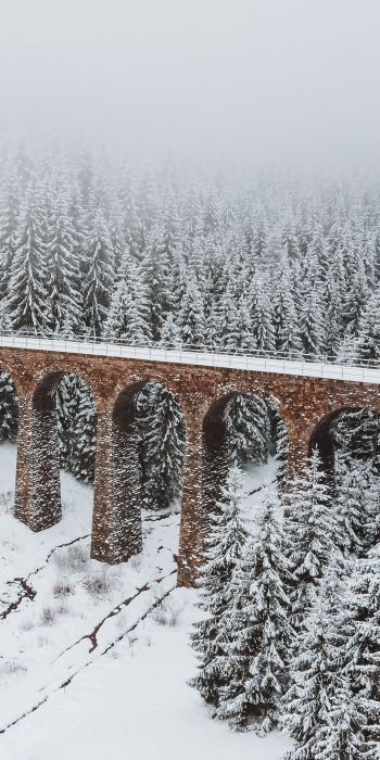 bridge, winter, snow Wallpaper 720x1440