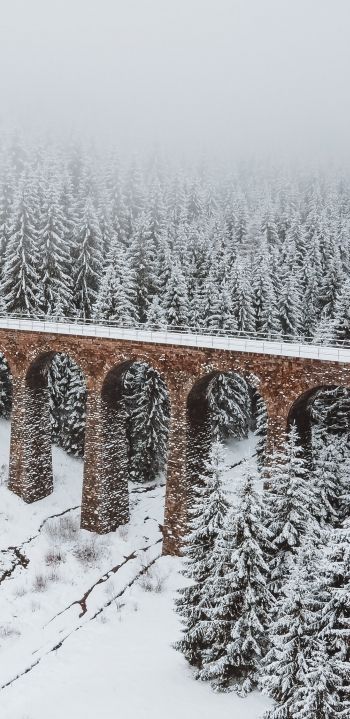 bridge, winter, snow Wallpaper 1080x2220