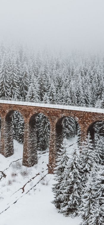 Обои 828x1792 мост, зима, снег