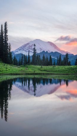 mount rainier, lake, landscape Wallpaper 640x1136