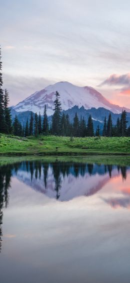 mount rainier, lake, landscape Wallpaper 1080x2340