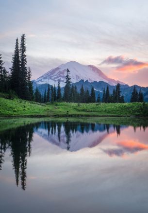 mount rainier, lake, landscape Wallpaper 1640x2360