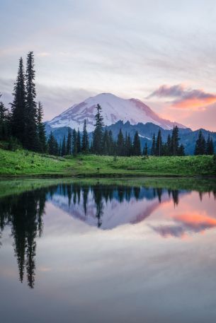 mount rainier, lake, landscape Wallpaper 640x960