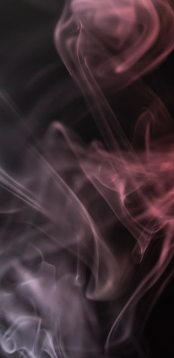 smoke, silhouette, outline Wallpaper 1440x2960
