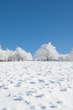 Обои 640x960 зима, снег, белый