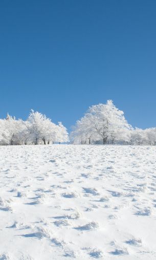 Обои 1200x2000 зима, снег, белый