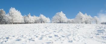 winter, snow, white Wallpaper 2560x1080
