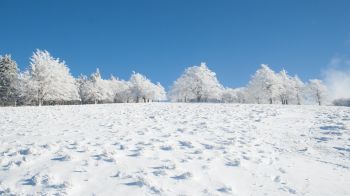 Обои 2560x1440 зима, снег, белый