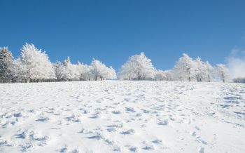Обои 2560x1600 зима, снег, белый