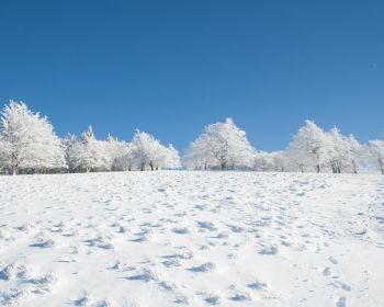 Обои 1280x1024 зима, снег, белый