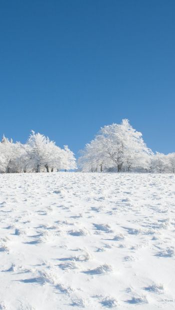Обои 640x1136 зима, снег, белый