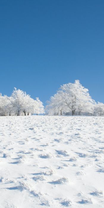 Обои 720x1440 зима, снег, белый