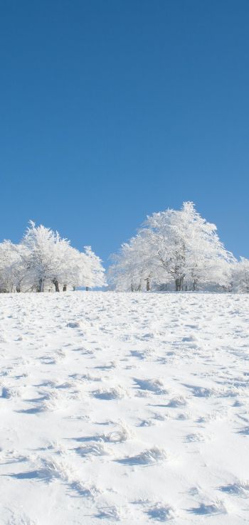 Обои 720x1520 зима, снег, белый
